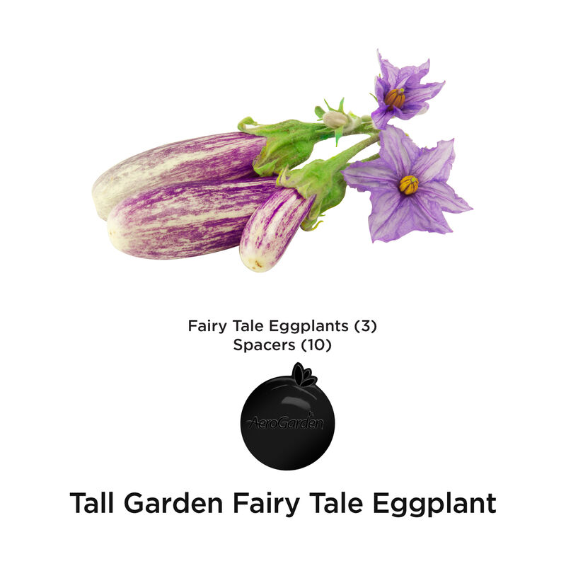 Fairytale Eggplant Seed Pod Kit image number null